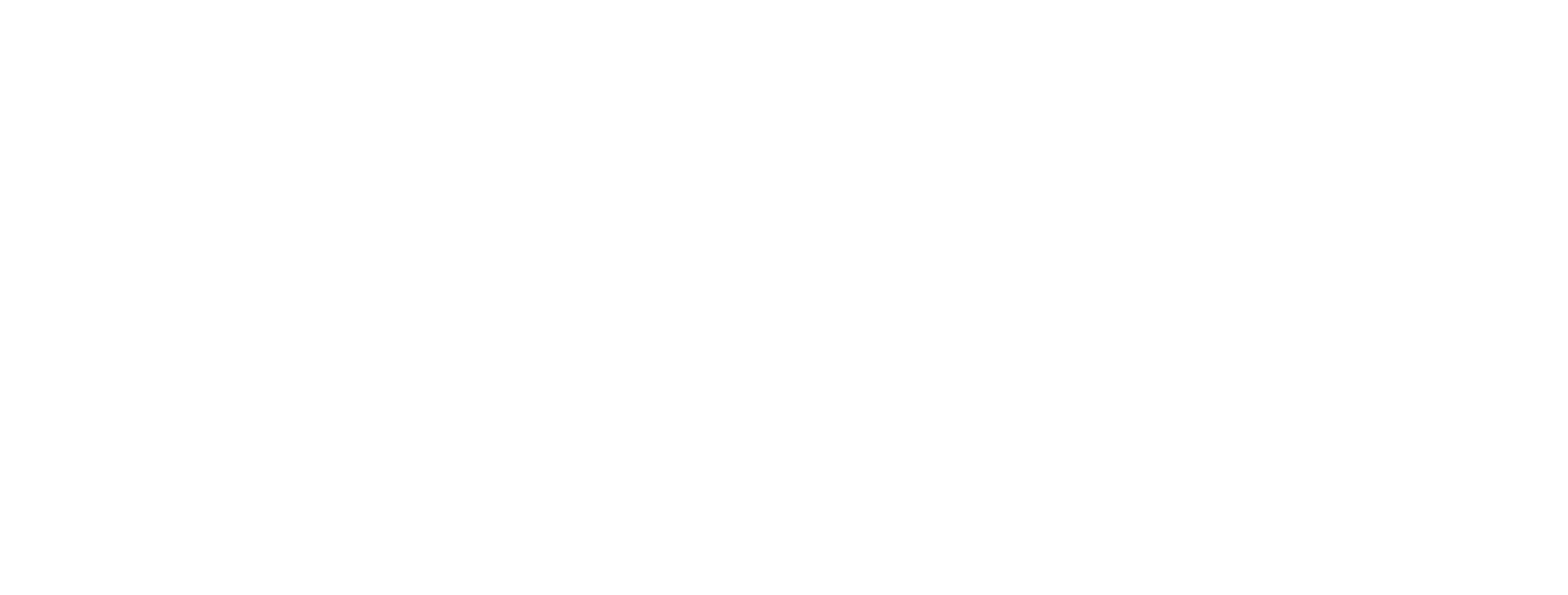 41 Watch Geneva